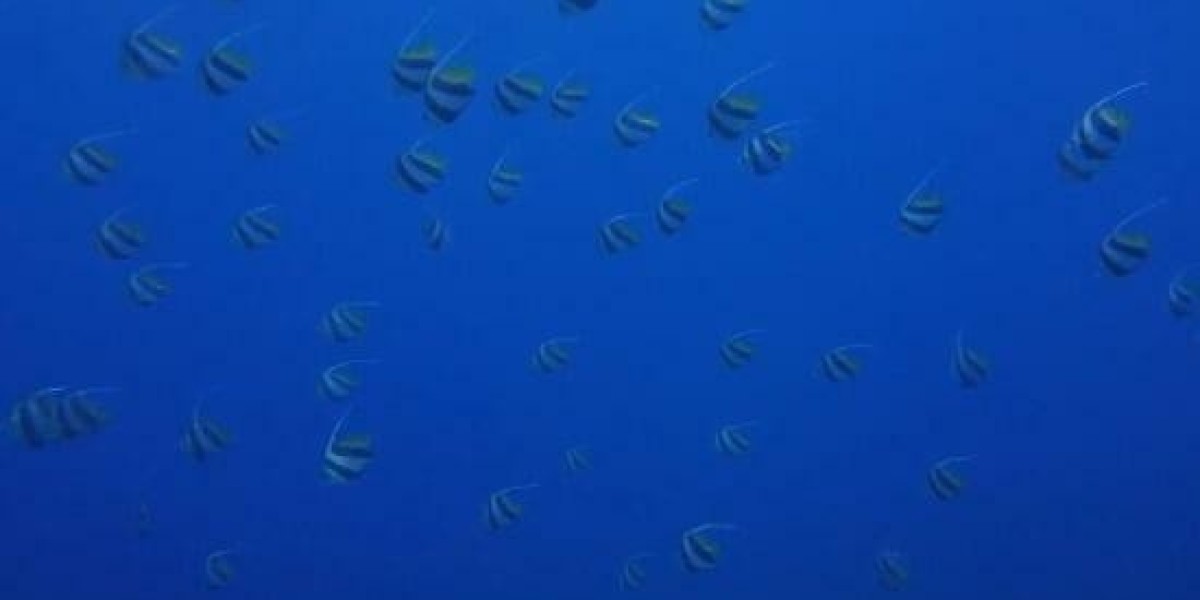 Pelican Staffing Nigeria